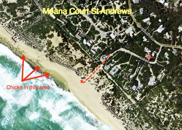 Moana Court (west) Nov 2011