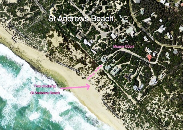 Moana Court Dec - Jan 2012