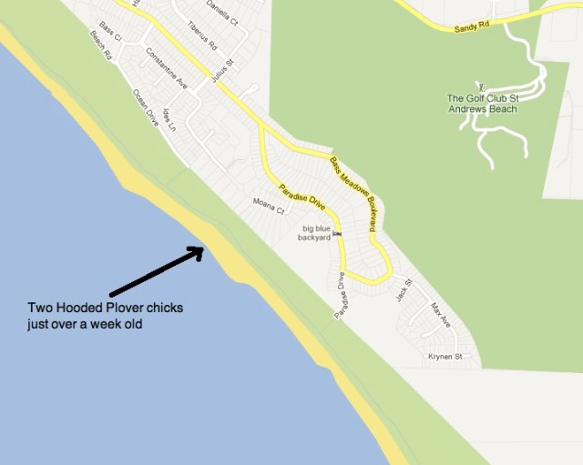 Moana Court map no aerial 05-01-2013