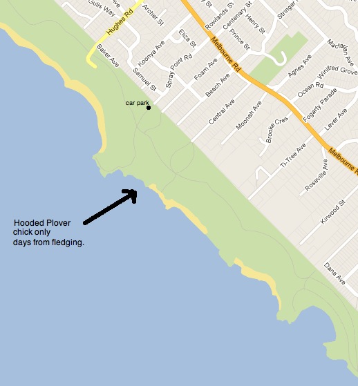 Montforts map no aerial 5-01-2013