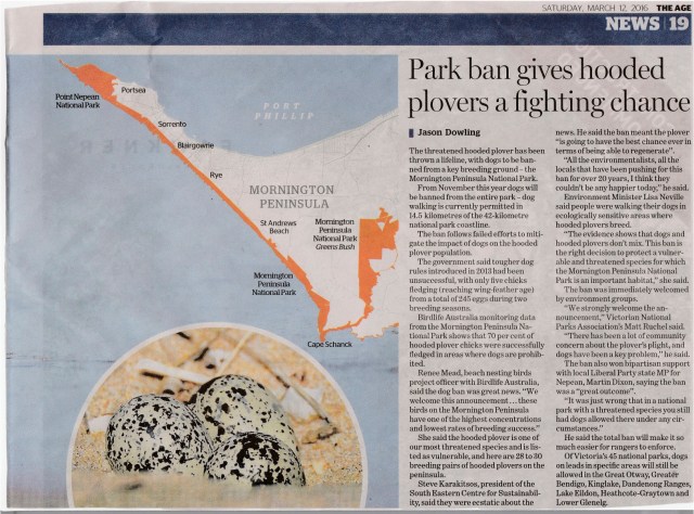 2 Dog ban article theage jpg