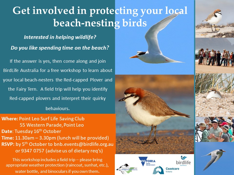 RCP Fairy tern Westernport Workshop